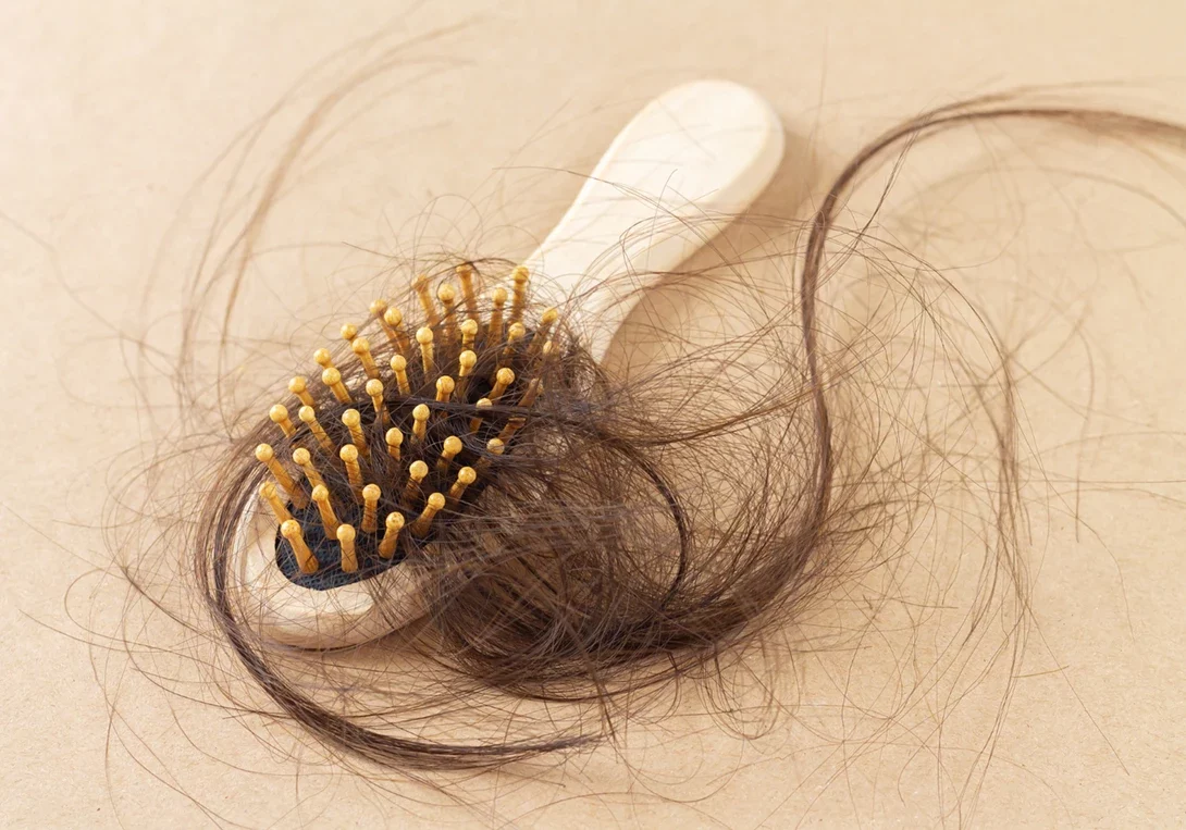 Cuir chevelu et cheveux